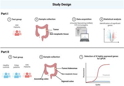 Decoding immune-related gene-signatures in colorectal neoplasia